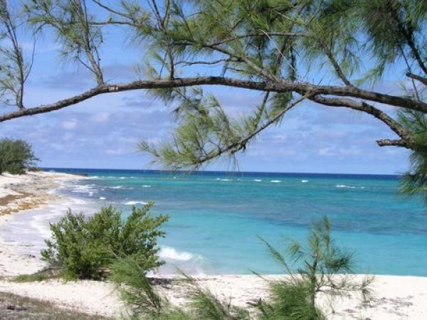 Beach View