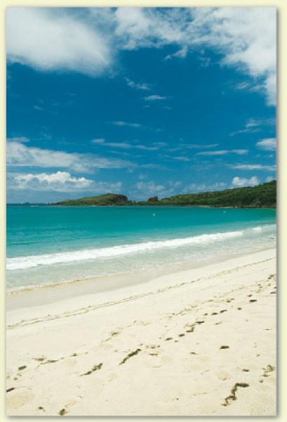 Beach View