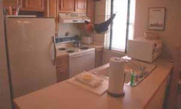 Telluride, Colorado, Vacation Rental Condo