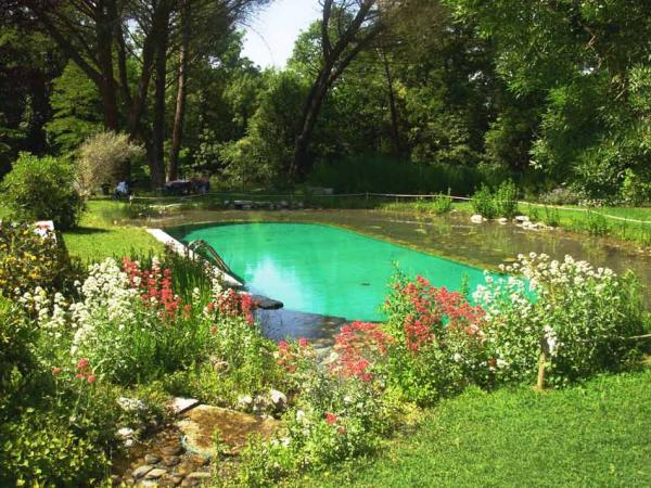 Pool in Garden
