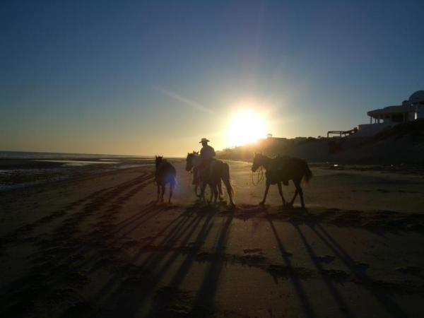 Horse Riding