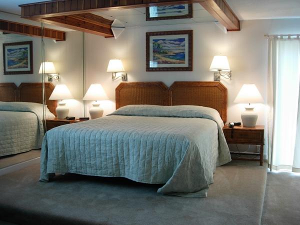 Huge Master Suite with Sunken Jetted Tub  