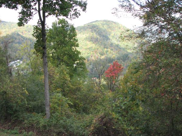 first sign of fall from the deck