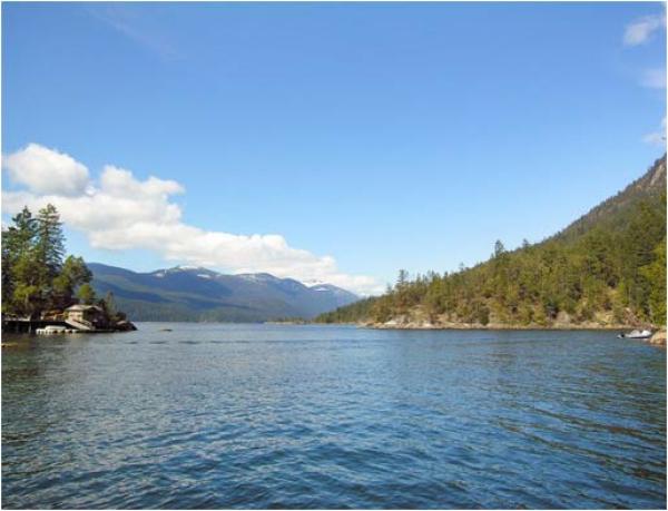 Water Front View