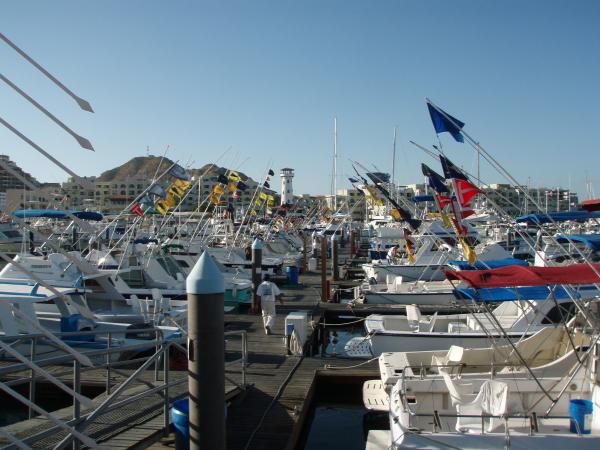 Flags indicate the fish(large) caught that day Wow