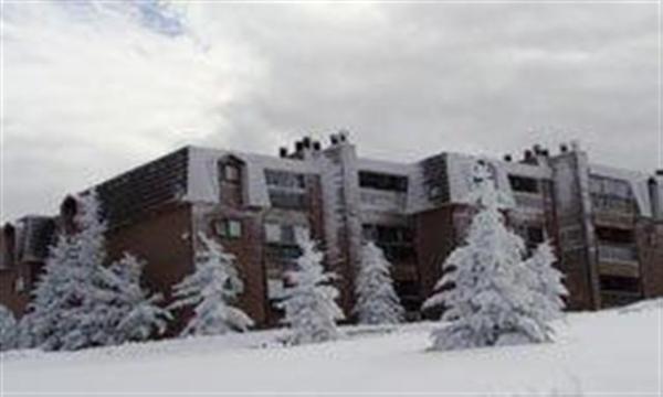 Winter View  