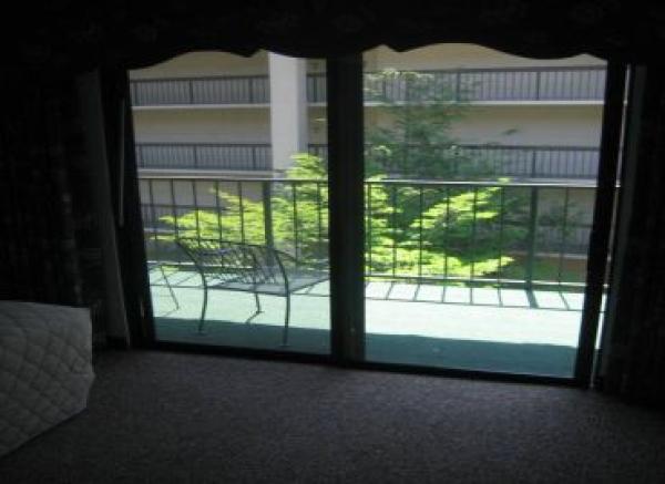 View from Bedroom