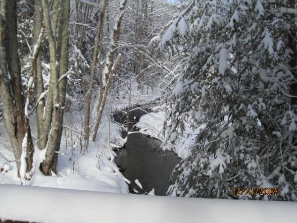 Snow Fall Veiw
