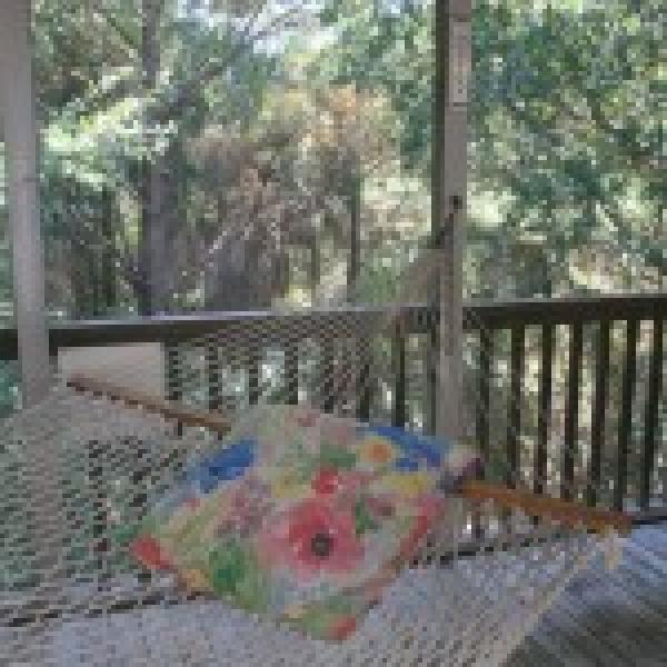 Hammock