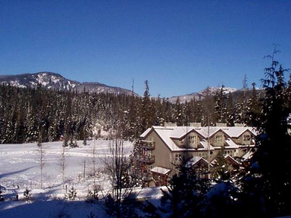 Winter View