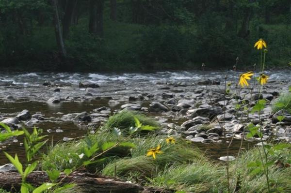Flower River