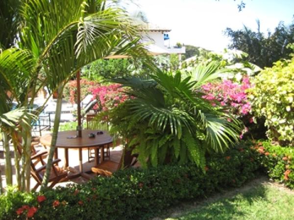 Another View of garden