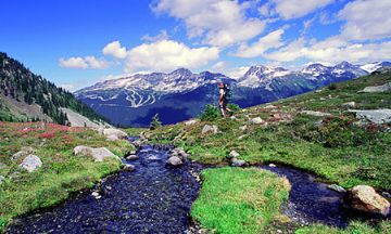 Whistler, British Columbia, Vacation Rental House