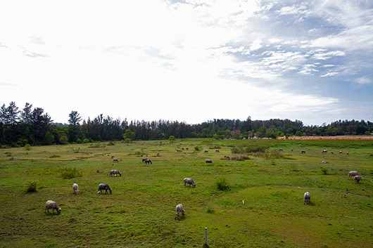 Bang Tao Vacation Villa Rentals