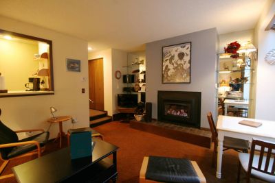  Snowater Condo #28