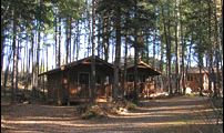 Hungry Horse, Montana, Vacation Rental Cabin
