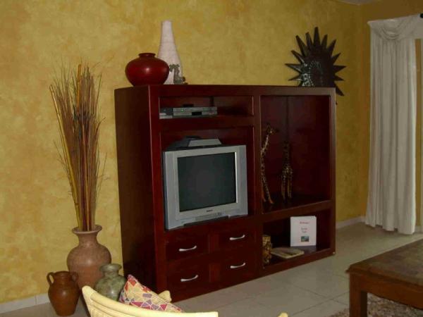 TV in Living Room
