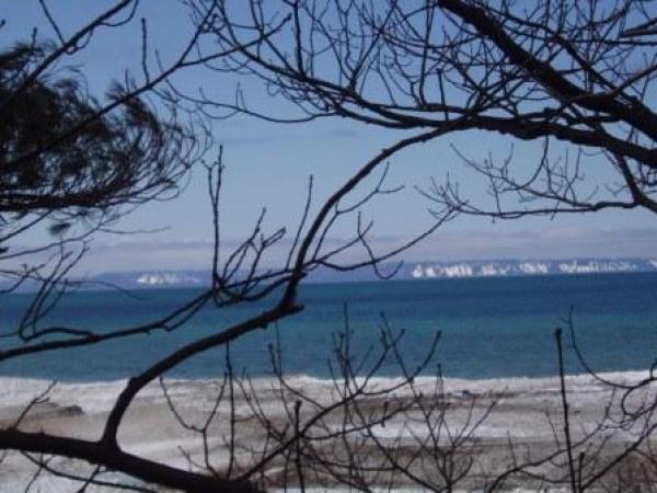 Ocean View