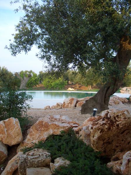 Garden and pool