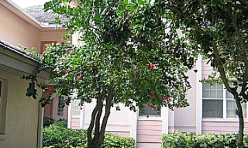 Bonita Springs, Florida, Vacation Rental House