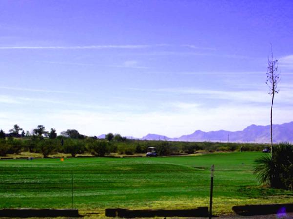 17th green from patio