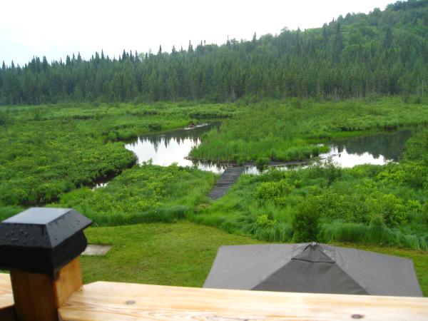 View From Balkon