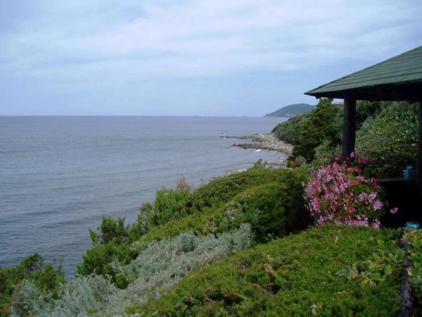 Ocean View