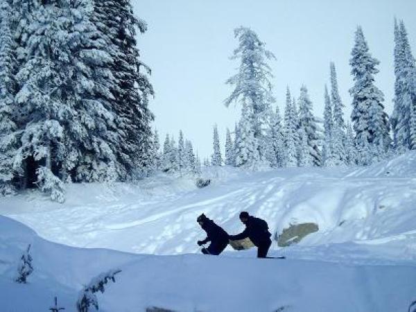 Snow Skiing