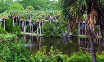 Kiawah Island, South Carolina, Vacation Rental House