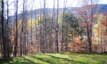 Newry, Maine, Vacation Rental Condo