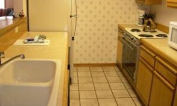 Telluride, Colorado, Vacation Rental Condo