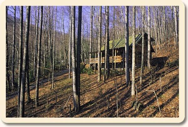 Waynesville, North Carolina, Vacation Rental Cabin