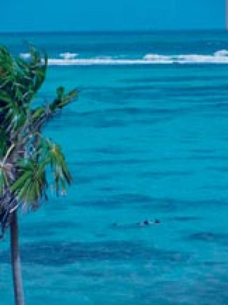 Ocean View