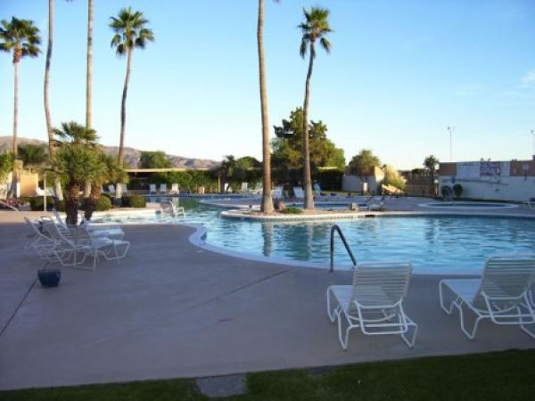Poolside view