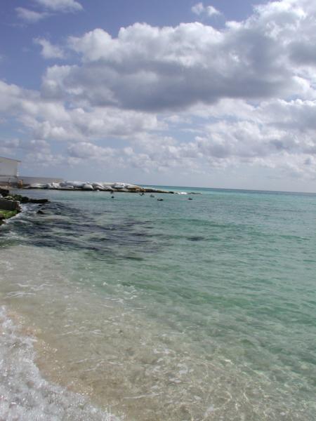 The Water is Crystal Clear 
