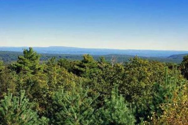 Panoramic Views