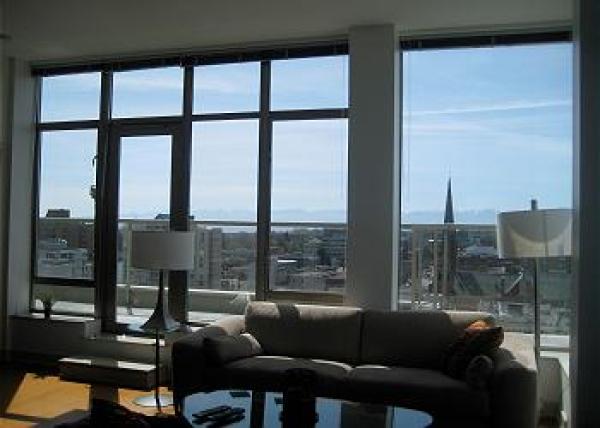 Olympic Views 