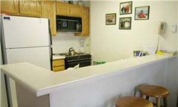 Breckenridge, Colorado, Vacation Rental Condo