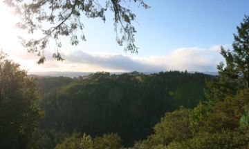 Santa Rosa, California, Vacation Rental House