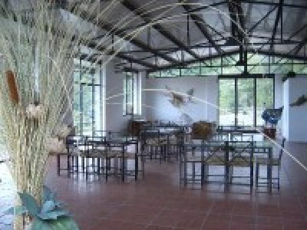 The Hall for restaurant service/meeting/training