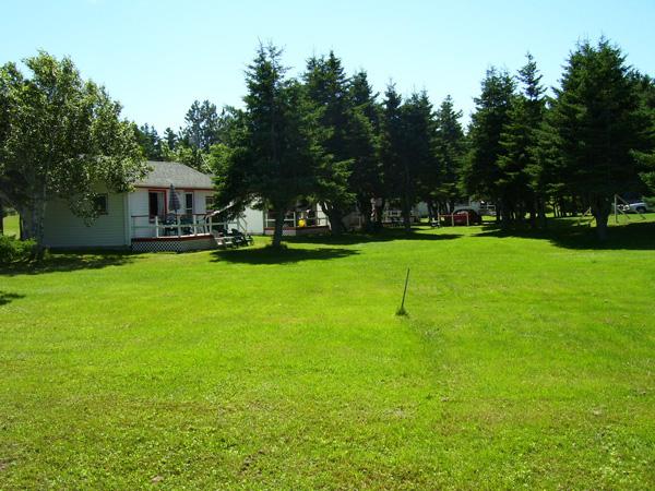 Greeny View