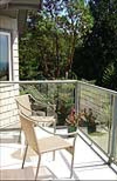 The Deck