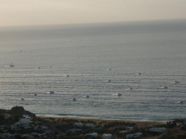 Fishing Armada (Tournament) can see every day