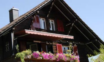 Gwatt, Espace Mittelland, Vacation Rental Condo
