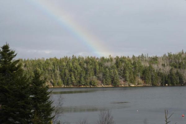 View with Rainbow