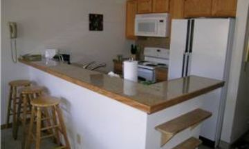 Breckenridge, Colorado, Vacation Rental Condo