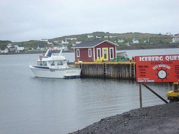 Take an ocean tour and take in the sights