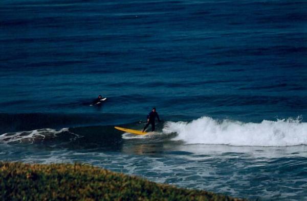 Surf's Up