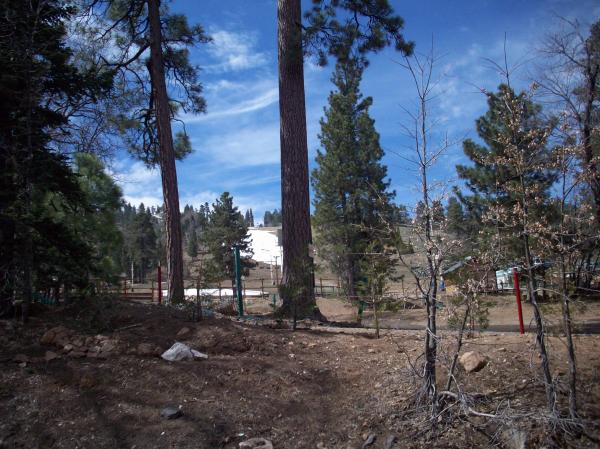 Ski area/national forest at the edge of our propt.