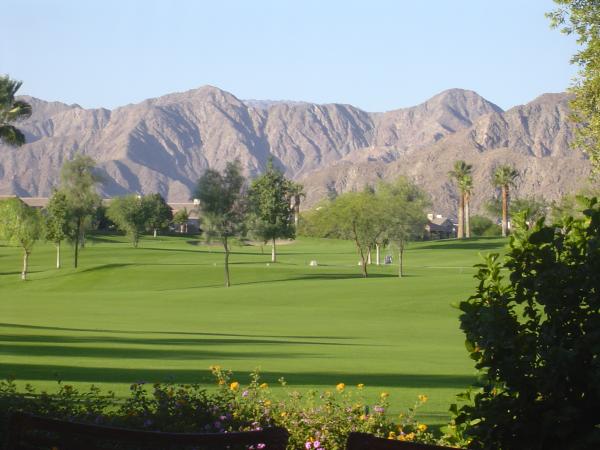 View from Back Patio
